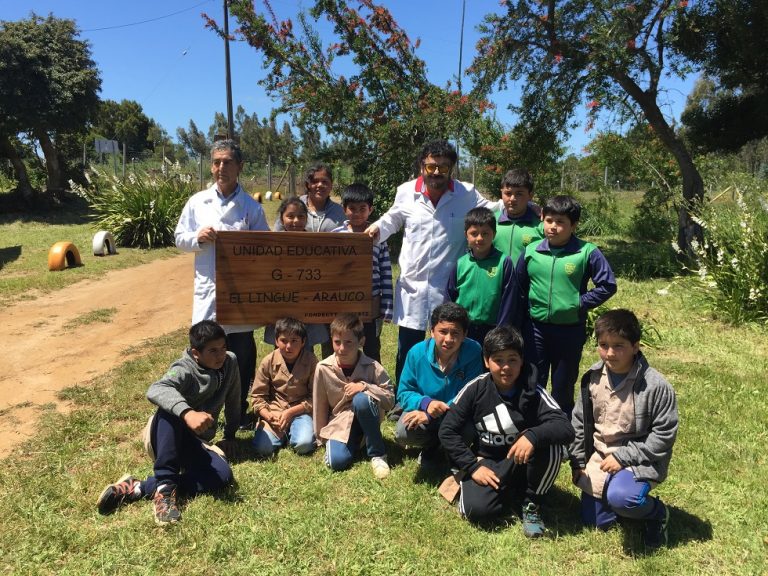 Investigadores UBB acercan la ciencia a los alumnos de la comuna de Arauco