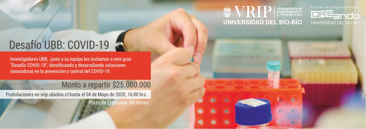 Desafío UBB: COVID-19, año 2020