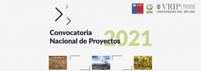 FIA: Convocatoria Nacional de Proyectos 2020-2021