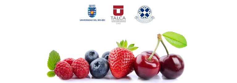 Proyecto de investigación colaborativa UBB, UTalca y UFRO beneficia la producción frutícola