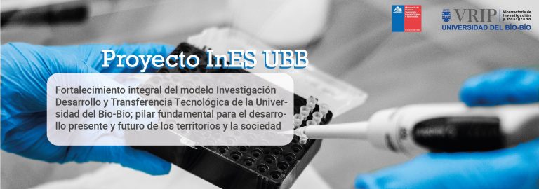 UBB adjudica proyecto InES del Ministerio de Ciencia y consolida su apuesta institucional en Innovación y Transferencia Tecnológica