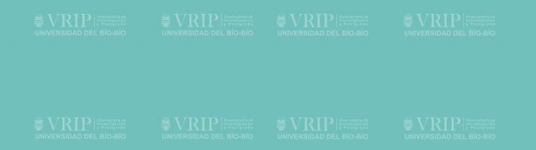 Oferta Postgrado UBB presente en la III Feria Virtual Estudiar en Chile