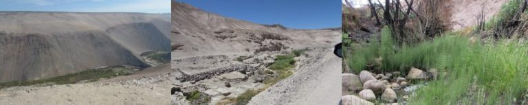 Revista Science destaca experiencia de investigadora UBB en el desierto de Atacama