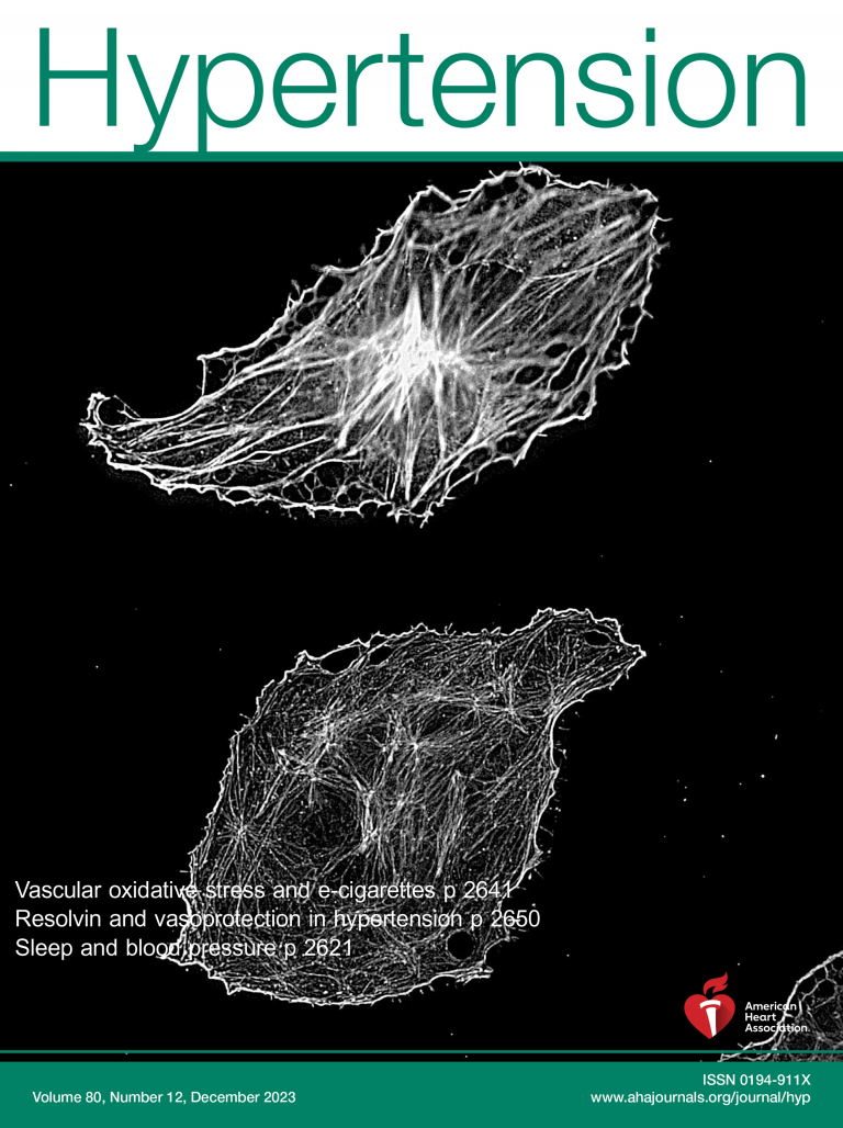 Importante revista científica internacional “Hypertension” publica en portada proyecto Fondecyt UBB