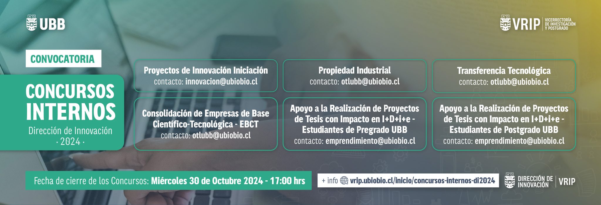Concurso Proyectos de Innovación Iniciación Año 2024