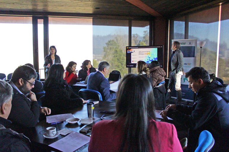 Proyecto FIUT-UBB realizó tallares en Chillán y Concepción que aportan insumos en la elaboración de un Plan de capacidades de investigación sostenible a 10 años