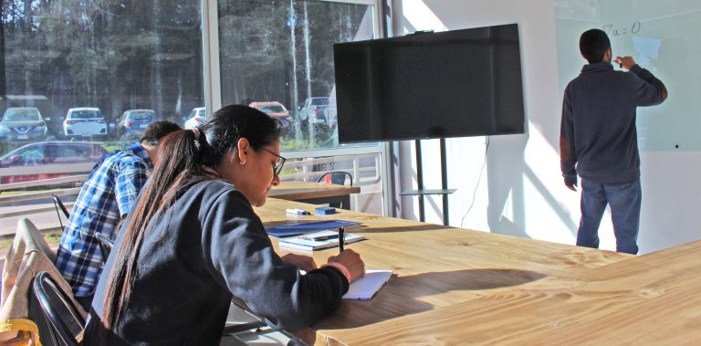 Directora de Postgrado destaca amplio interés por estudios de magíster y doctorado en la Universidad del Bío-Bío