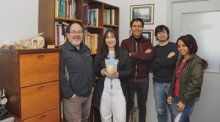 Investigador UBB logra reposición exitosa de proyecto Fondecyt Regular tras apelación: “No hay que darse por vencido”