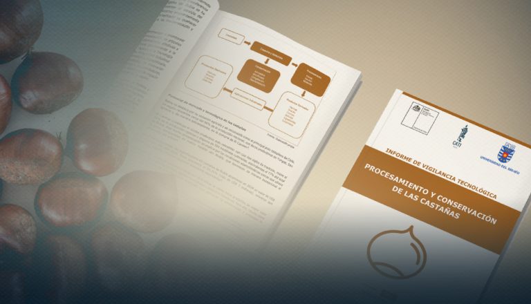 Universidad del Bío-Bío e INAPI presentan informe de vigilancia tecnológica sobre procesamiento y conservación de castañas en Ñuble