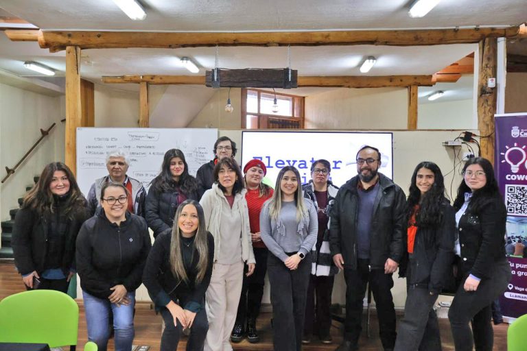 UBB e instituciones locales de Ñuble fortalecen competencias de emprendedores con ciclo formativo “De la Idea al Éxito”