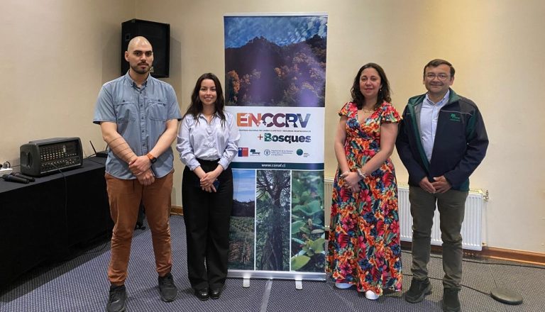 Investigadora UBB difunde avances en restauración de suelos en Mesa de Trabajo del Grupo REDD+ Bosques de Ñuble