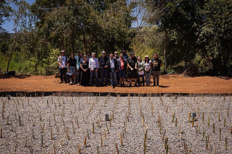 Humedal artificial pionero en Chile, impulsado por investigador UBB, comenzó a operar en Tirúa para proteger el Lago Lleulleu