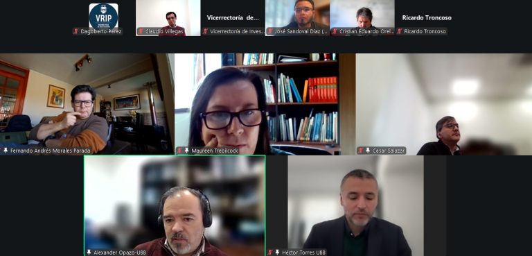 Académicos UBB comparten claves para adjudicar proyectos Fondecyt en jornada de capacitación