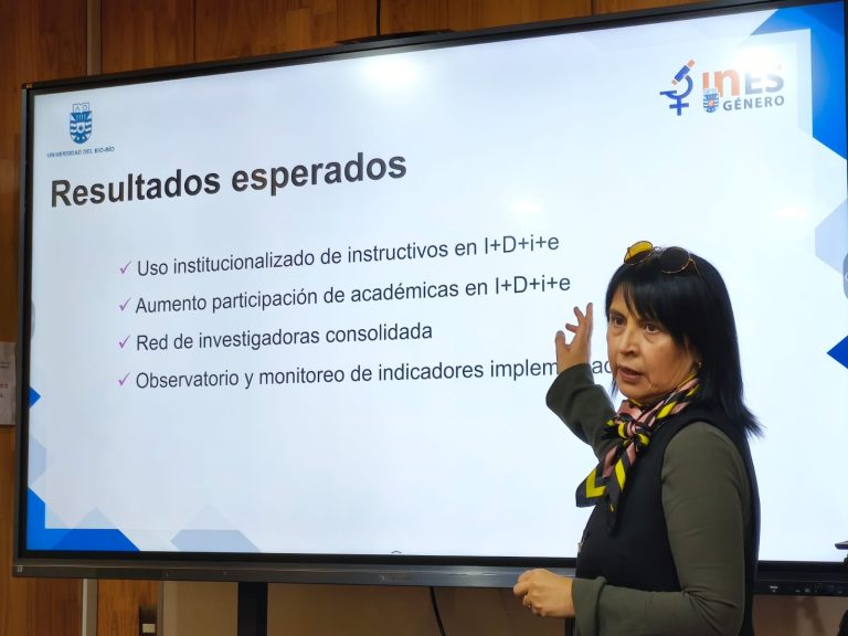 Universidad del Bío-Bío impulsa nueva etapa del proyecto InES Género con foco en trabajo colaborativo y fortalecimiento de investigadoras