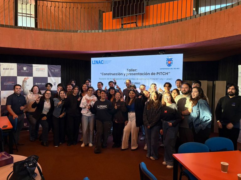 Taller de Pitch fortalece habilidades de comunicación en estudiantes postulantes a concursos VIU de ANID