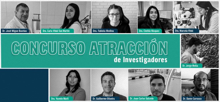 UBB fortalece sus capacidades de investigación con la incorporación de cinco investigadores postdoctorales