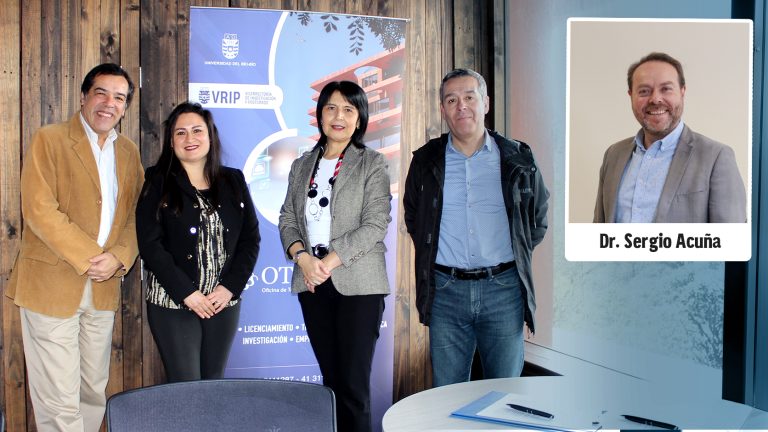 Investigación UBB que transforma hongos endófitos antárticos en una innovadora solución para la agricultura cuenta con interés y apoyo de empresa para su comercialización
