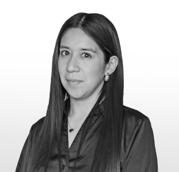 VRIP_Equipo_Rachel R